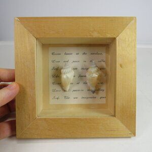 Sea Shell Natural Shadow box picture frame 5 1/2" w glass